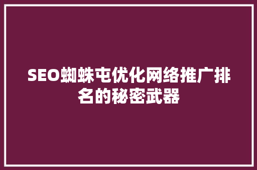 SEO蜘蛛屯优化网络推广排名的秘密武器