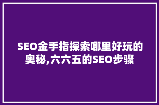 SEO金手指探索哪里好玩的奥秘,六六五的SEO步骤