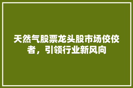天然气股票龙头股市场佼佼者，引领行业新风向