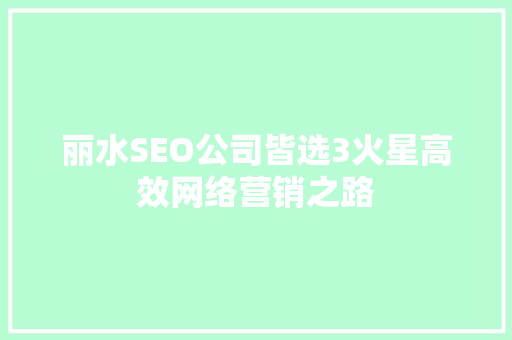 丽水SEO公司皆选3火星高效网络营销之路