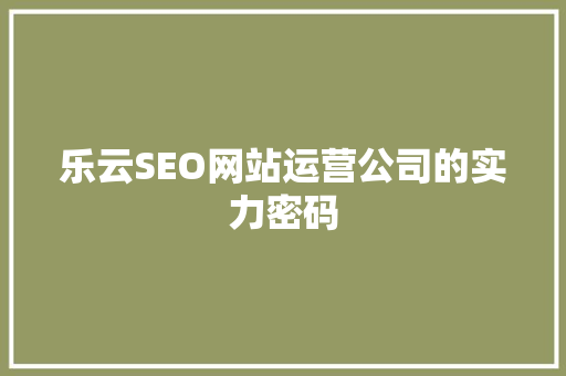 乐云SEO网站运营公司的实力密码