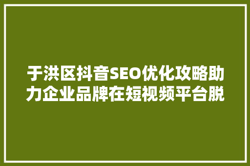 于洪区抖音SEO优化攻略助力企业品牌在短视频平台脱颖而出
