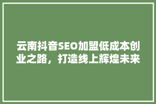 云南抖音SEO加盟低成本创业之路，打造线上辉煌未来