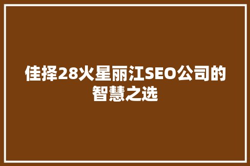佳择28火星丽江SEO公司的智慧之选