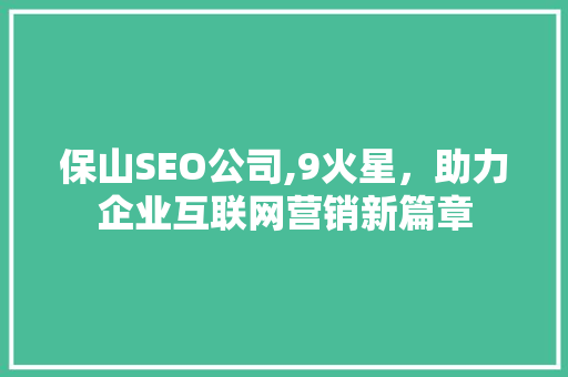 保山SEO公司,9火星，助力企业互联网营销新篇章