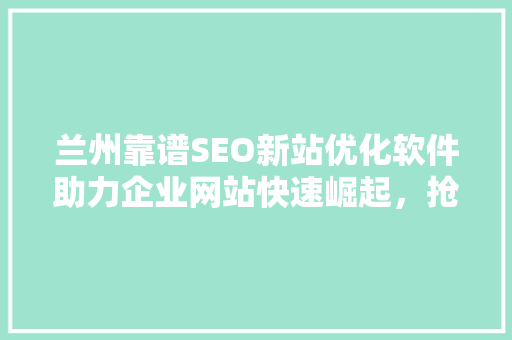 兰州靠谱SEO新站优化软件助力企业网站快速崛起，抢占互联网市场制高点