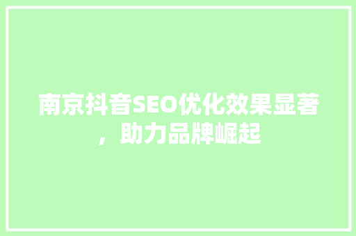 南京抖音SEO优化效果显著，助力品牌崛起