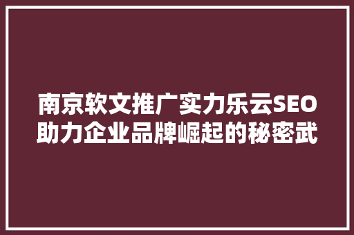 南京软文推广实力乐云SEO助力企业品牌崛起的秘密武器
