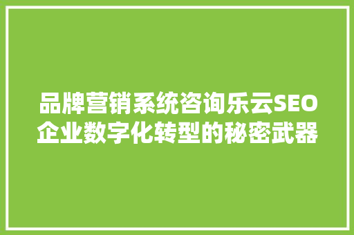 品牌营销系统咨询乐云SEO企业数字化转型的秘密武器