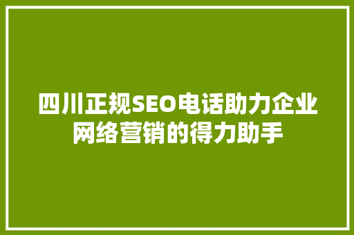 四川正规SEO电话助力企业网络营销的得力助手