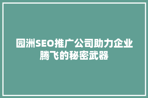 园洲SEO推广公司助力企业腾飞的秘密武器