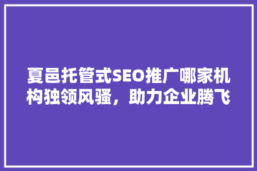 夏邑托管式SEO推广哪家机构独领风骚，助力企业腾飞