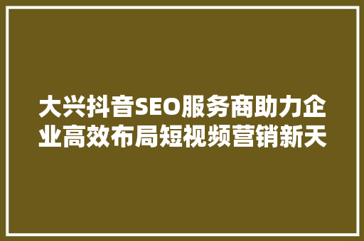 大兴抖音SEO服务商助力企业高效布局短视频营销新天地