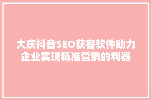 大庆抖音SEO获客软件助力企业实现精准营销的利器