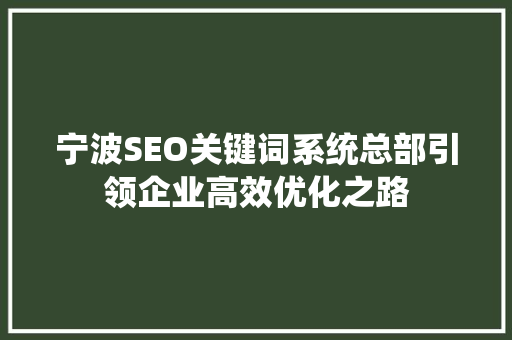 宁波SEO关键词系统总部引领企业高效优化之路