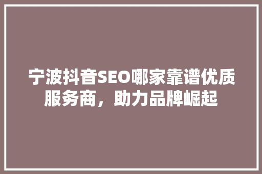 宁波抖音SEO哪家靠谱优质服务商，助力品牌崛起