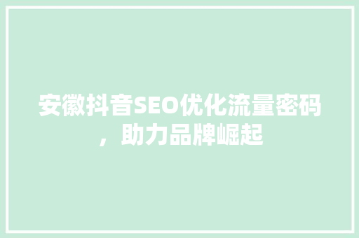 安徽抖音SEO优化流量密码，助力品牌崛起