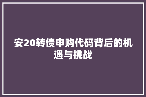 安20转债申购代码背后的机遇与挑战