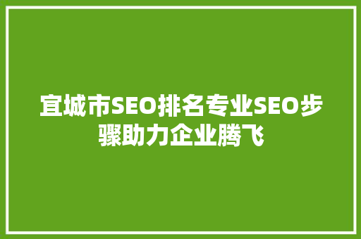 宜城市SEO排名专业SEO步骤助力企业腾飞