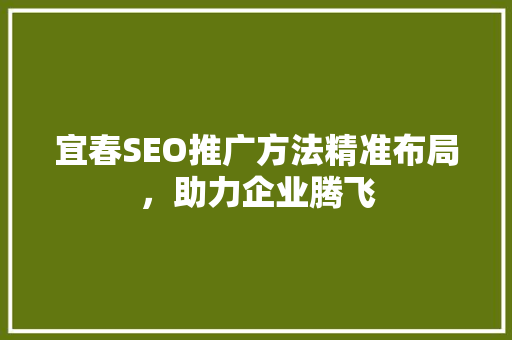 宜春SEO推广方法精准布局，助力企业腾飞