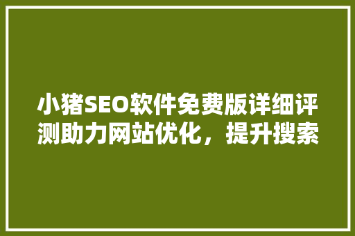 小猪SEO软件免费版详细评测助力网站优化，提升搜索引擎排名