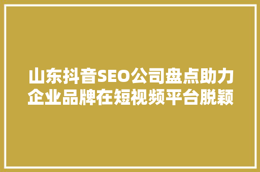 山东抖音SEO公司盘点助力企业品牌在短视频平台脱颖而出