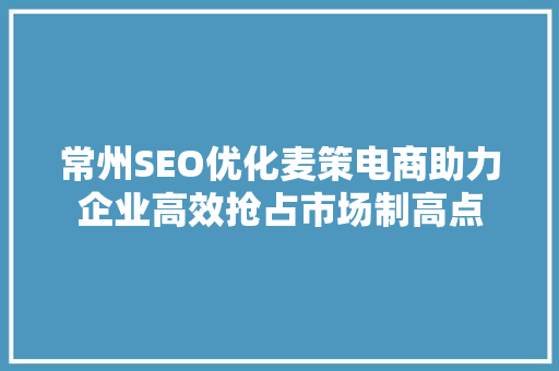 常州SEO优化麦策电商助力企业高效抢占市场制高点