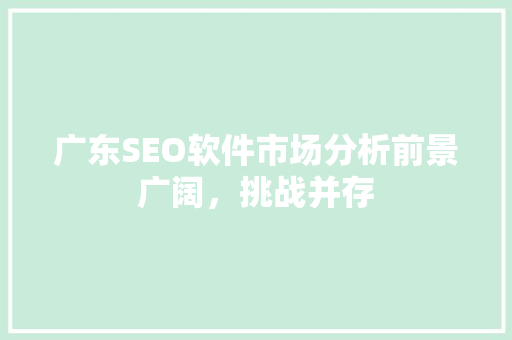 广东SEO软件市场分析前景广阔，挑战并存