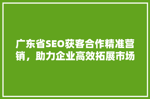 广东省SEO获客合作精准营销，助力企业高效拓展市场