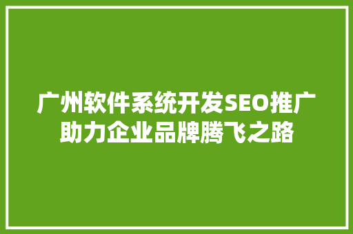 广州软件系统开发SEO推广助力企业品牌腾飞之路