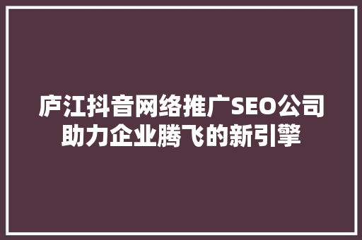 庐江抖音网络推广SEO公司助力企业腾飞的新引擎  第1张