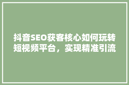 抖音SEO获客核心如何玩转短视频平台，实现精准引流