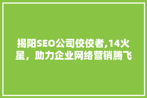 揭阳SEO公司佼佼者,14火星，助力企业网络营销腾飞