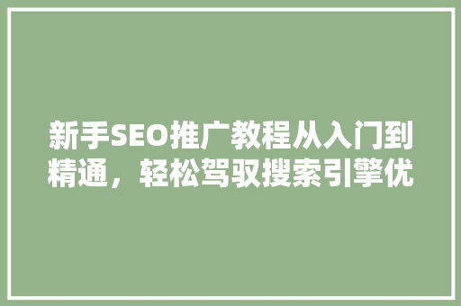 新手SEO推广教程从入门到精通，轻松驾驭搜索引擎优化