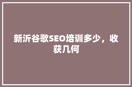 新沂谷歌SEO培训多少，收获几何  第1张
