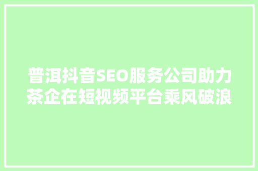 普洱抖音SEO服务公司助力茶企在短视频平台乘风破浪