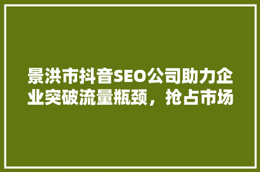 景洪市抖音SEO公司助力企业突破流量瓶颈，抢占市场先机