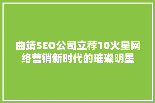 曲靖SEO公司立荐10火星网络营销新时代的璀璨明星