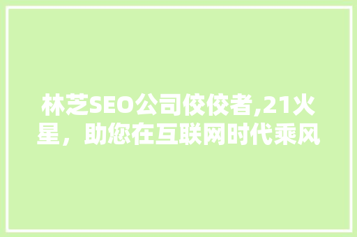 林芝SEO公司佼佼者,21火星，助您在互联网时代乘风破浪