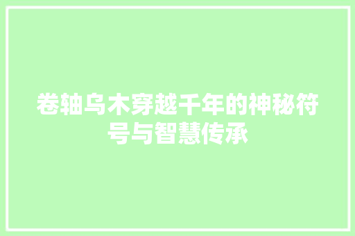 卷轴乌木穿越千年的神秘符号与智慧传承