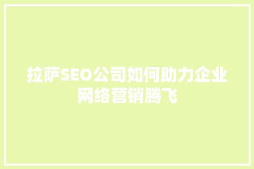 拉萨SEO公司如何助力企业网络营销腾飞