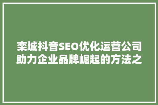 栾城抖音SEO优化运营公司助力企业品牌崛起的方法之路
