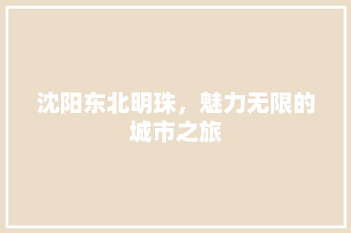 沈阳东北明珠，魅力无限的城市之旅