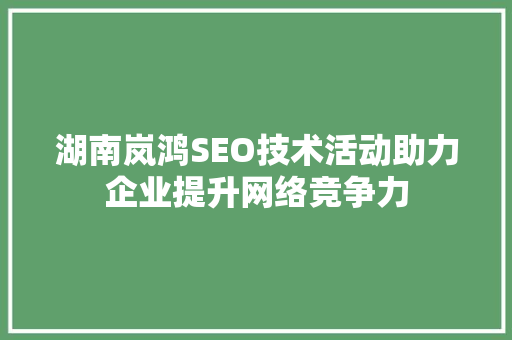 湖南岚鸿SEO技术活动助力企业提升网络竞争力