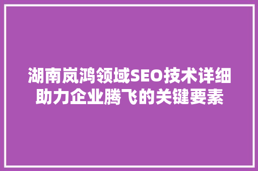 湖南岚鸿领域SEO技术详细助力企业腾飞的关键要素