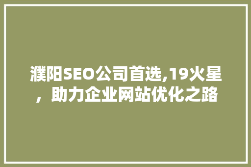 濮阳SEO公司首选,19火星，助力企业网站优化之路