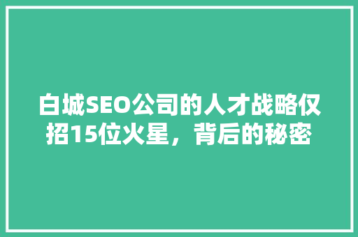 白城SEO公司的人才战略仅招15位火星，背后的秘密