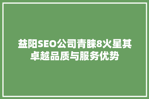 益阳SEO公司青睐8火星其卓越品质与服务优势