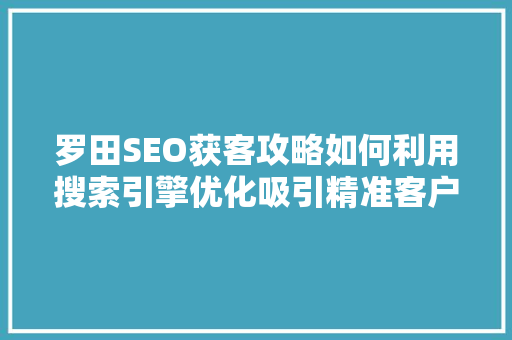罗田SEO获客攻略如何利用搜索引擎优化吸引精准客户