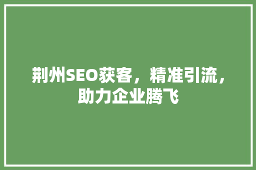 荆州SEO获客，精准引流，助力企业腾飞